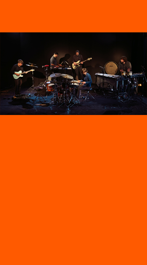 PULSAR ENSEMBLE